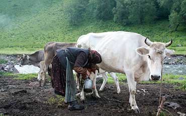 尋找制冷罐，昆明客戶終于在河南新鄉(xiāng)找到答案！